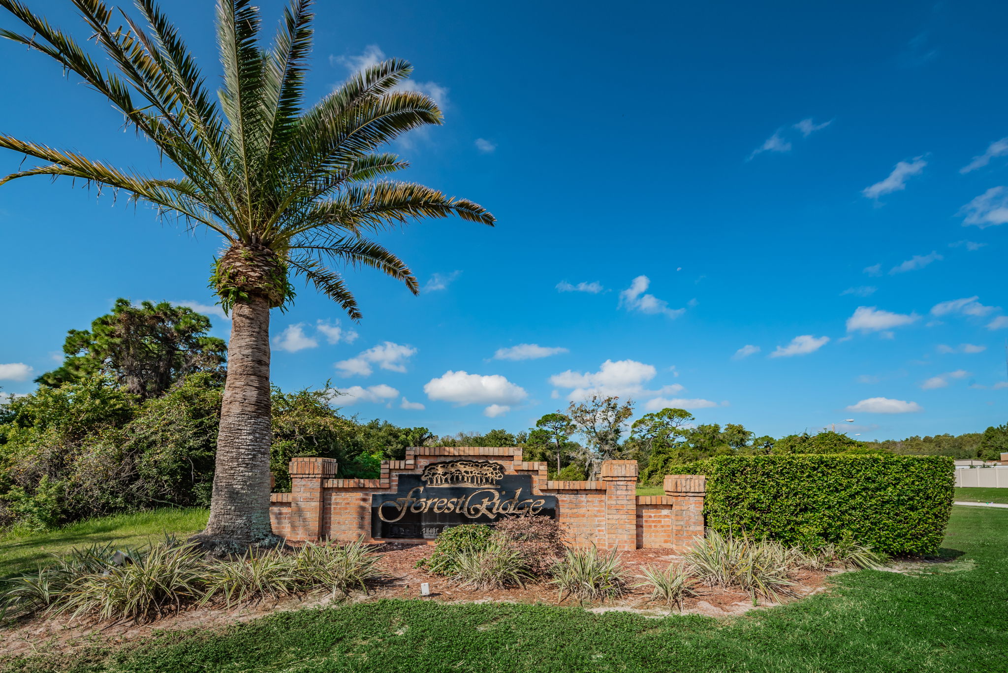 Gated Entry1