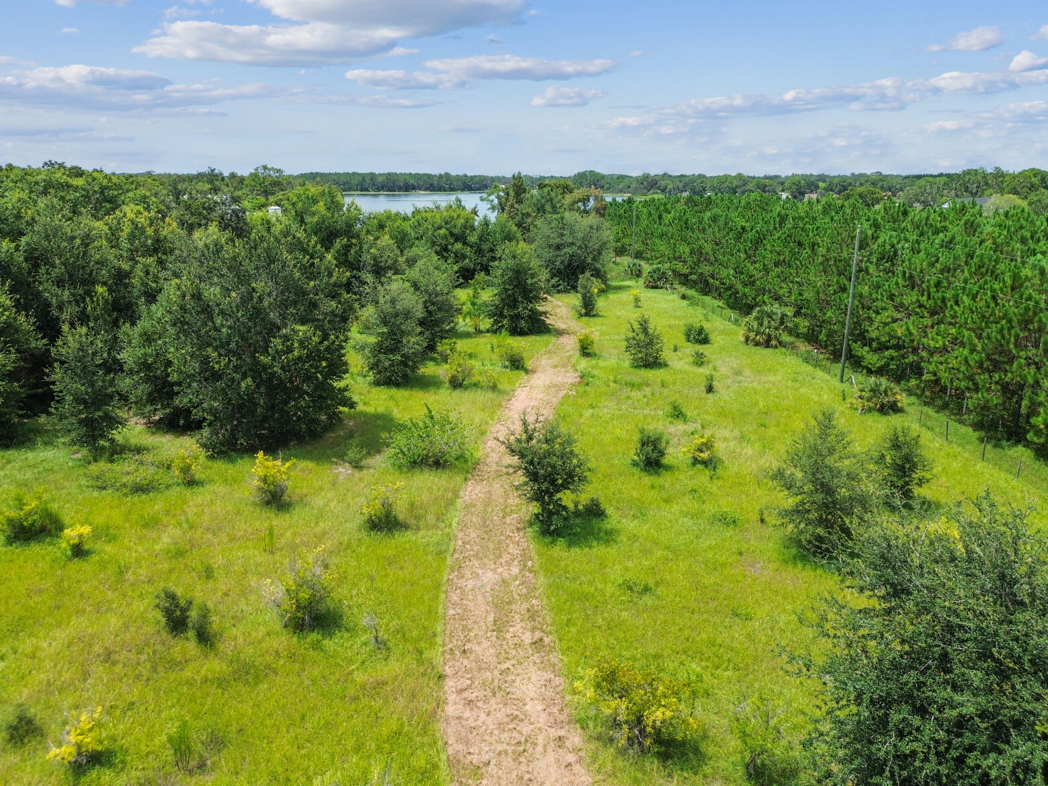 DJI_0820