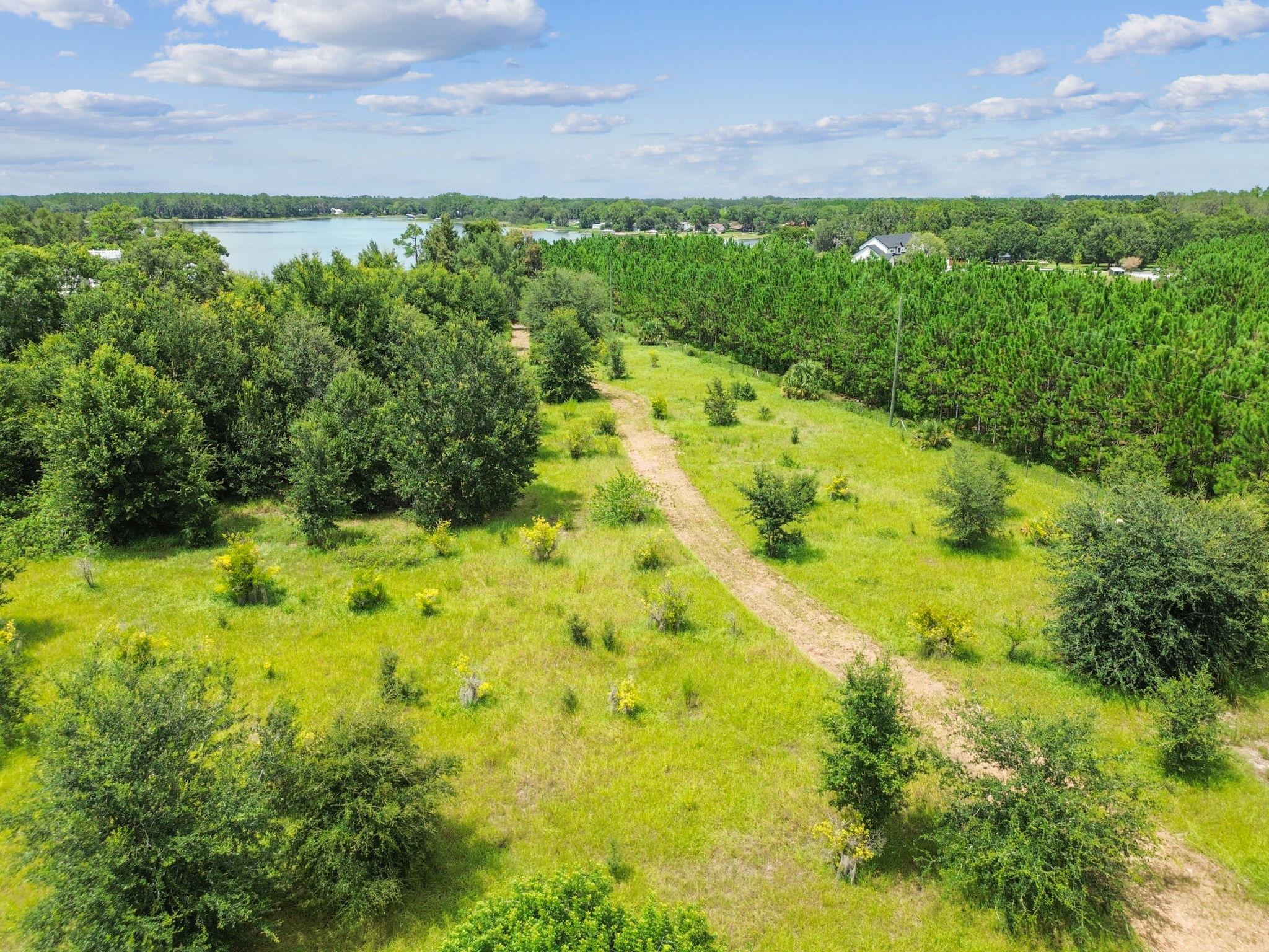 DJI_0826