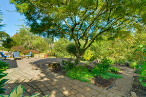  Photo 49