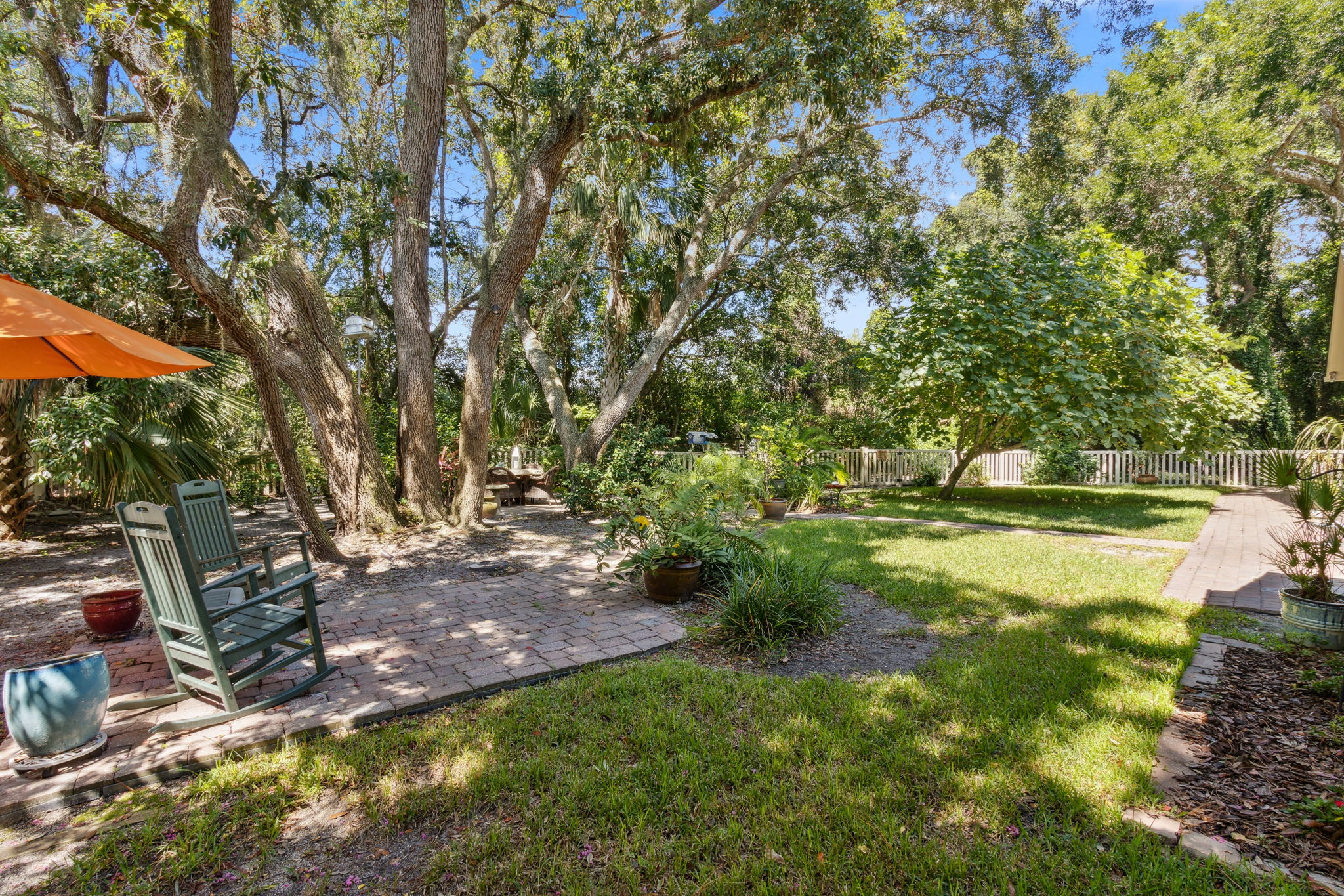 Backyard