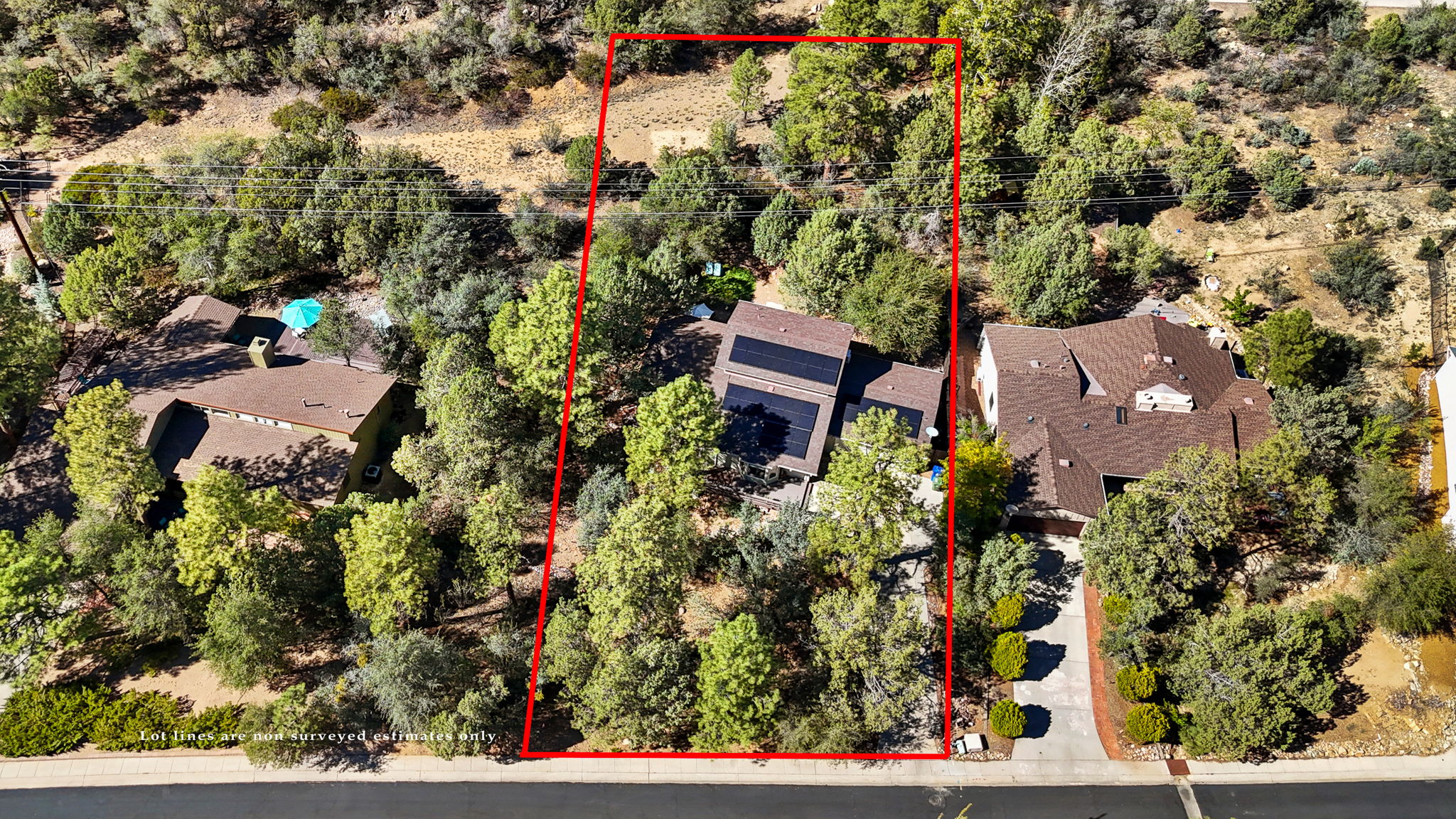 Birds Eye with Lot Lines