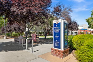  Photo 49