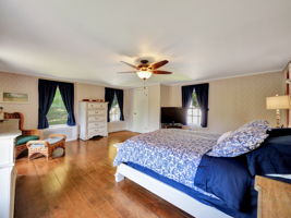  Photo 41