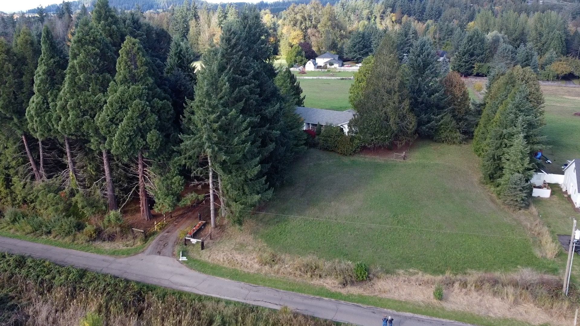 aerial 5