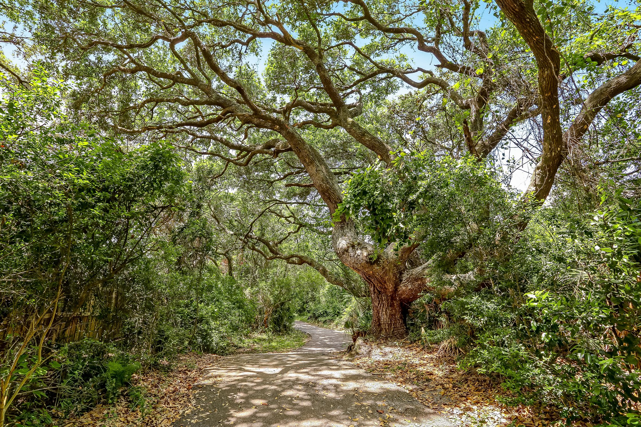 Mariners Walk