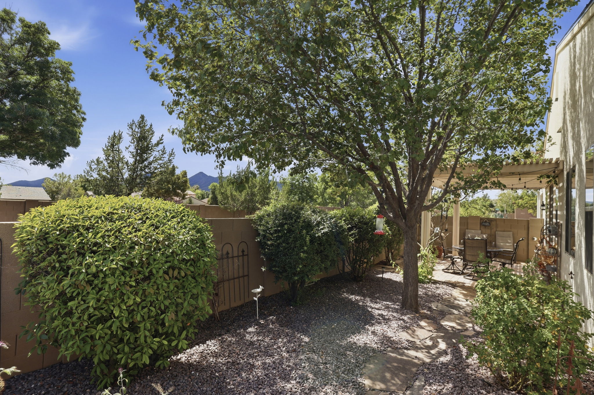 Backyard 2