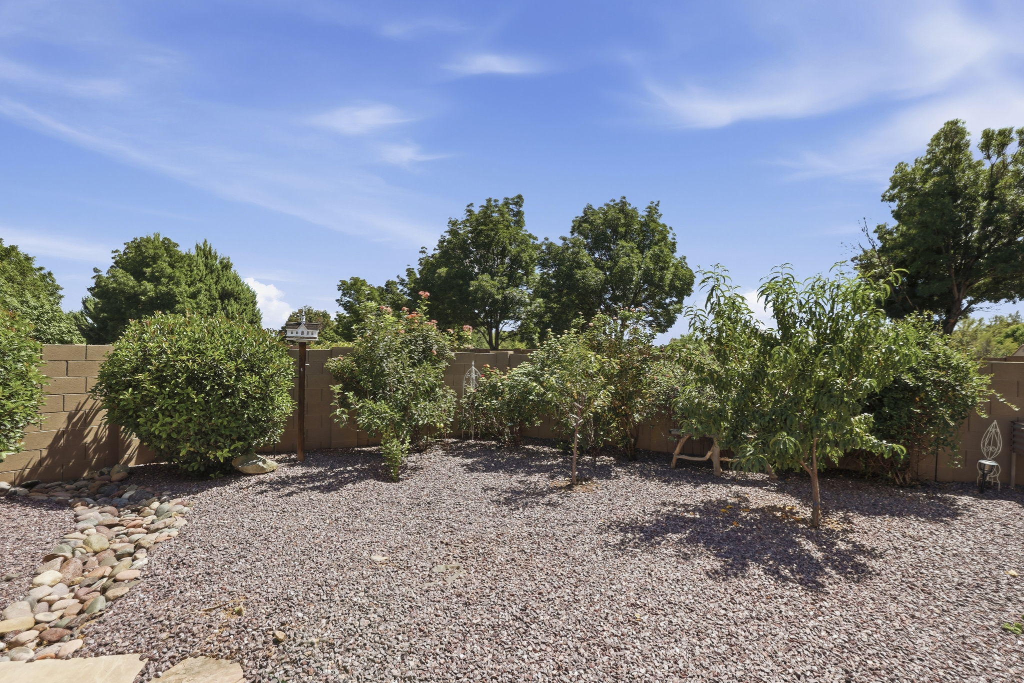 Backyard 3