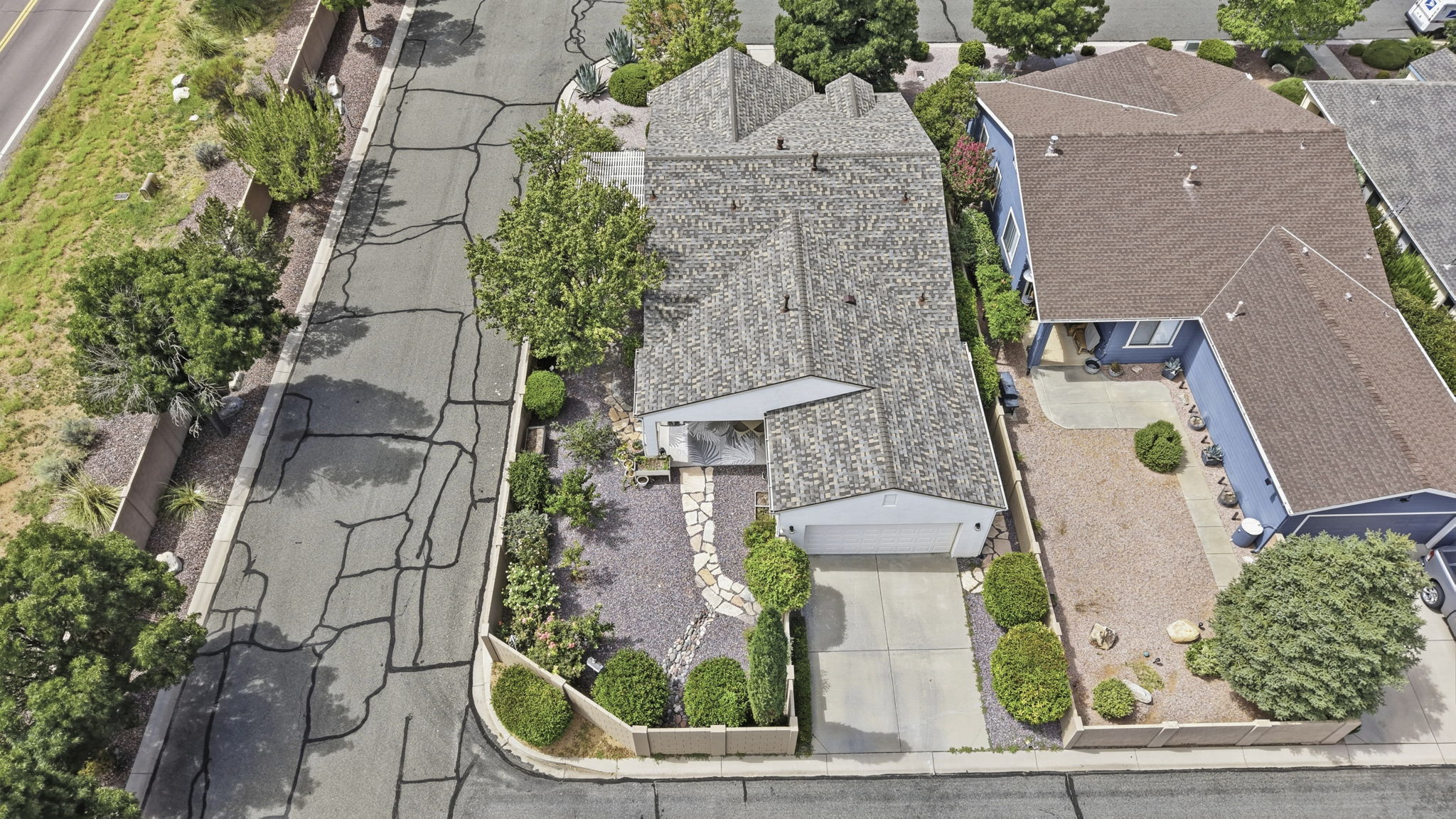 Birds Eye 2