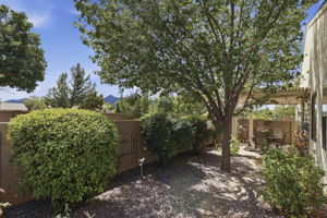 Backyard 2