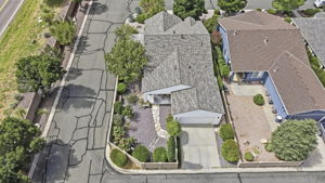 Birds Eye 2