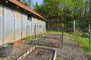  Photo 41