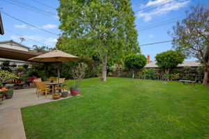 17 - Back Yard