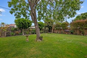 18 - Back Yard