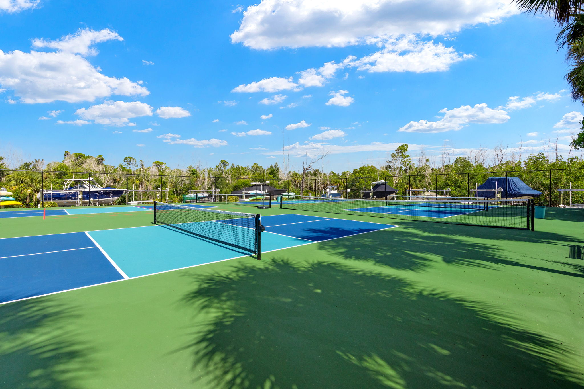 Pickleball Court