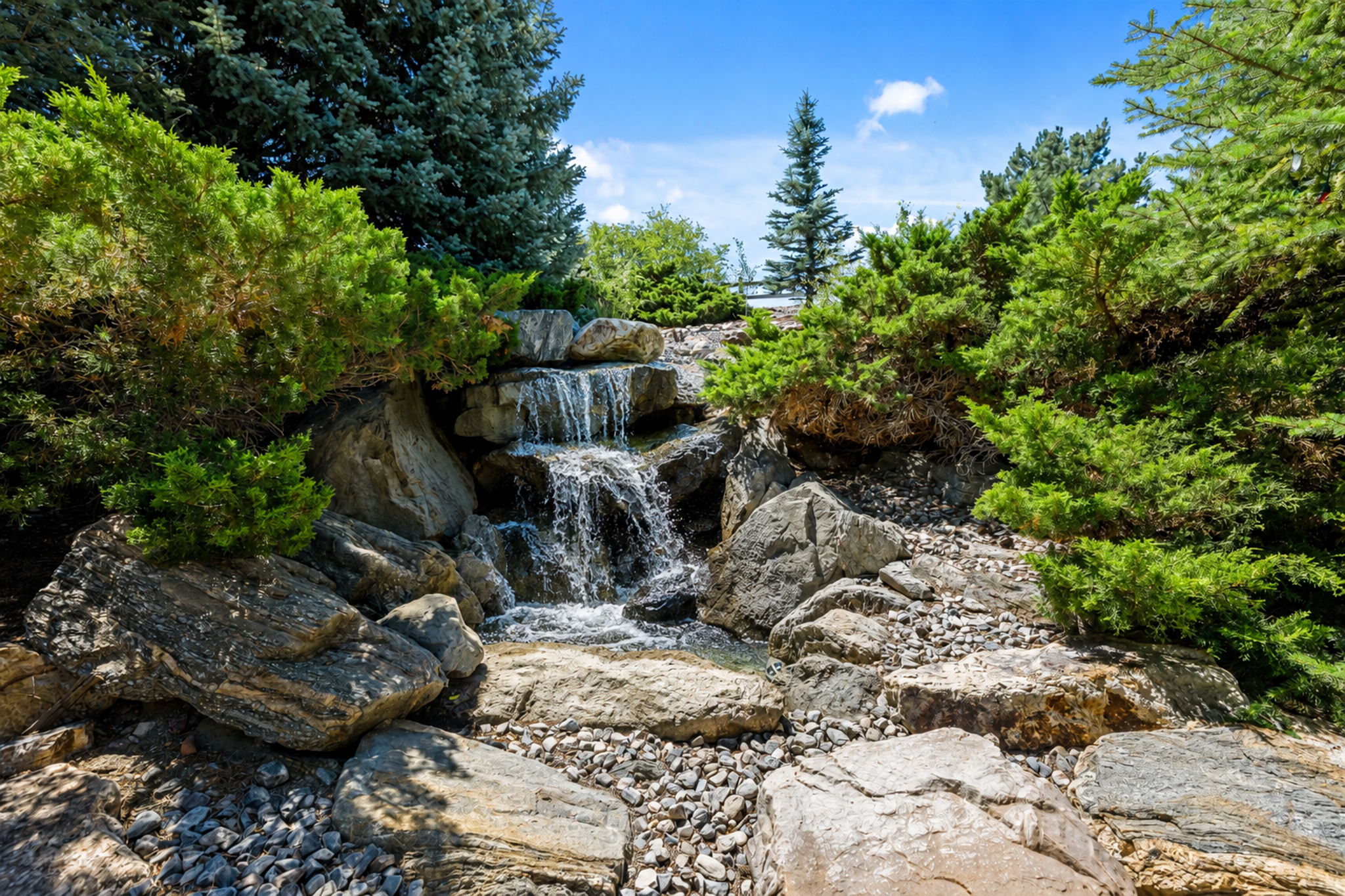  Photo 44