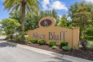 Silver Bluff