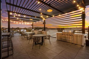 gas grills