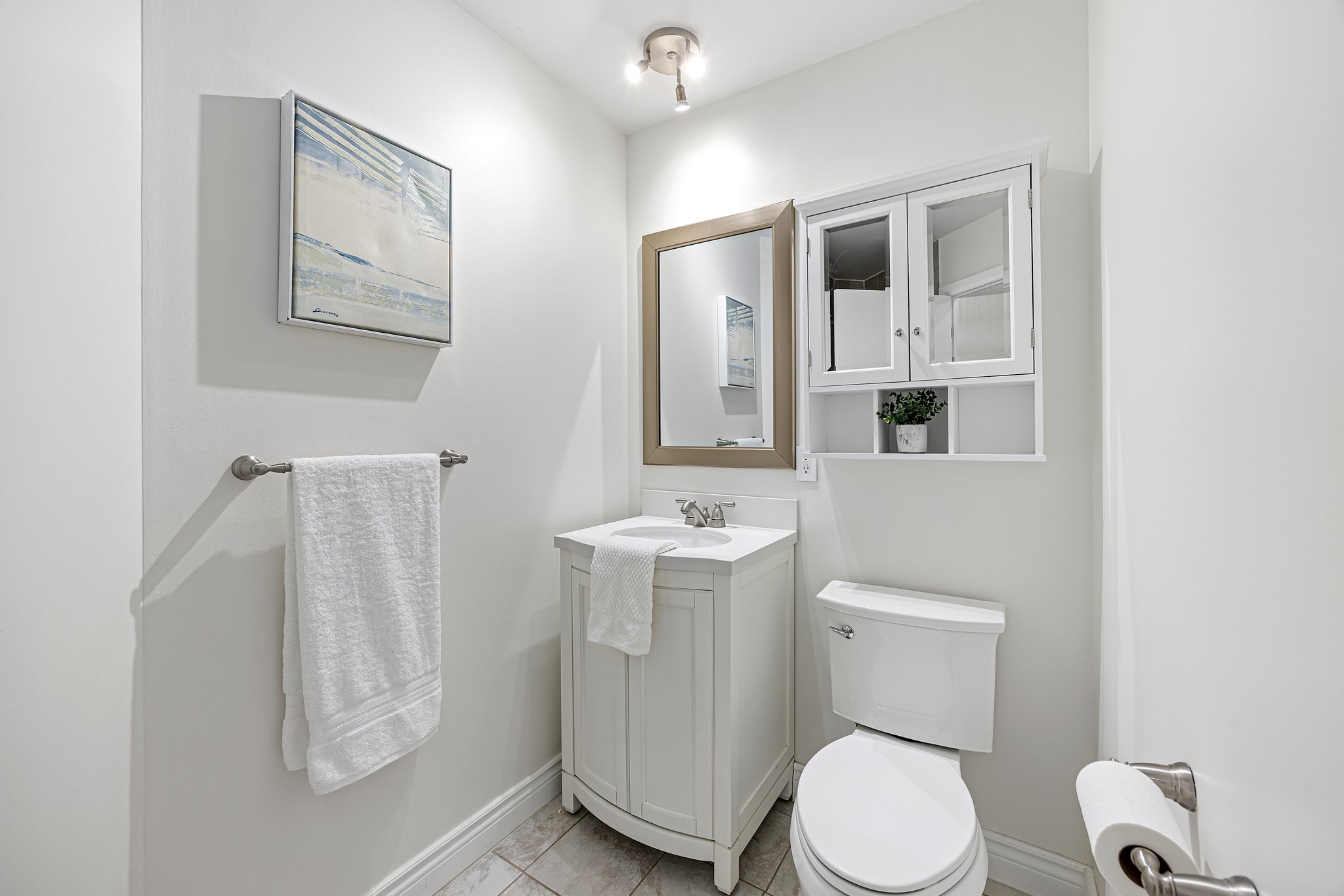 Toronto property showcase — delivered property photograph 11