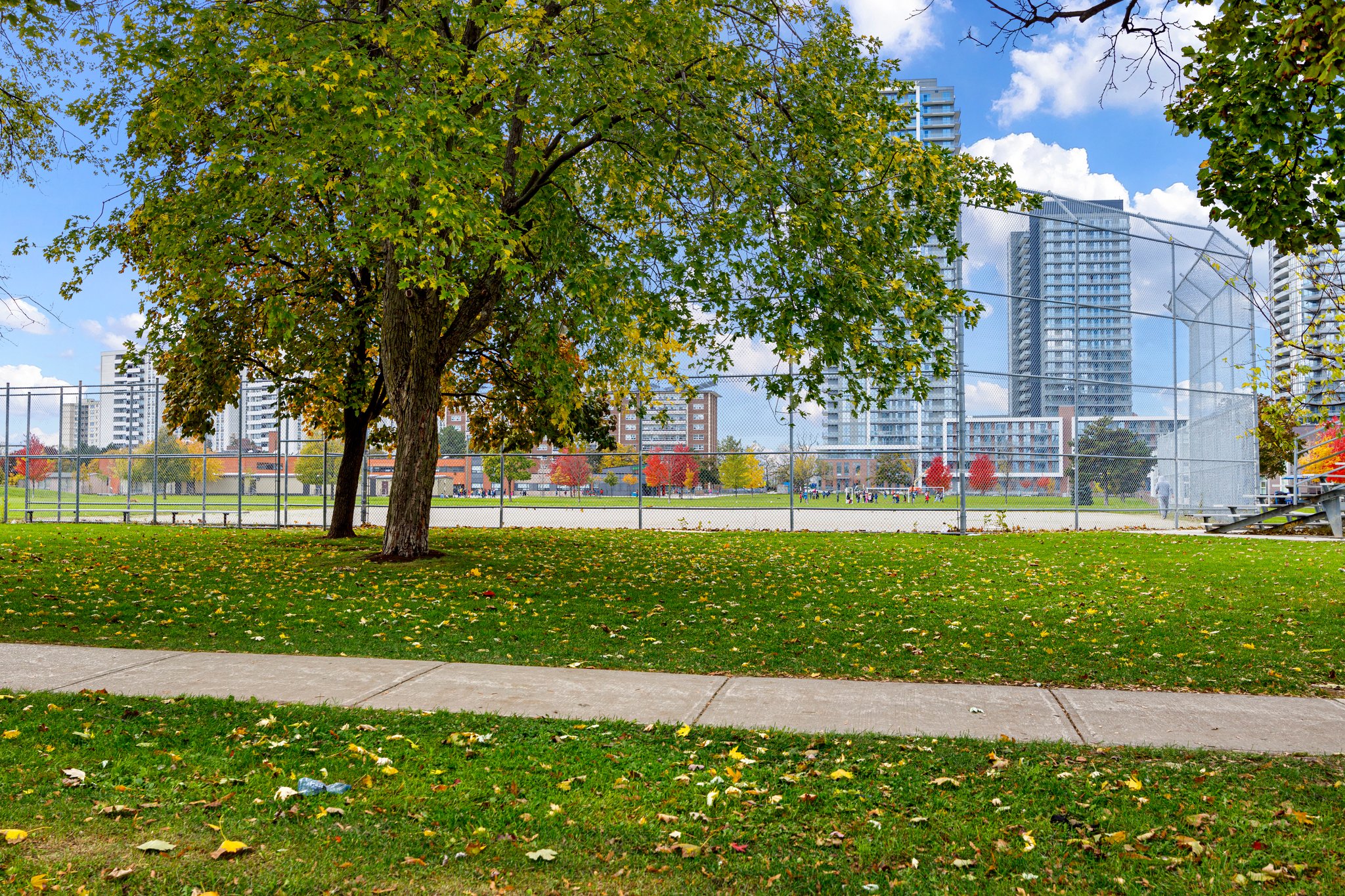 Toronto property showcase — delivered property photograph 41