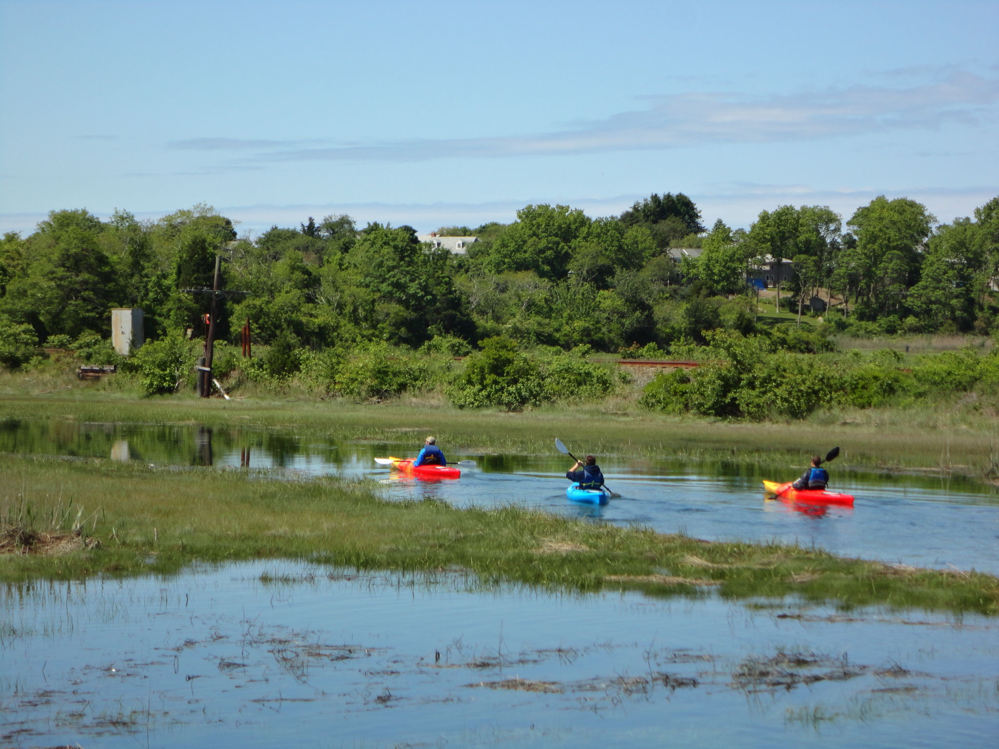 Kayaks in Sandwich Marshes