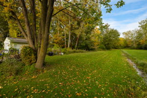  Photo 47