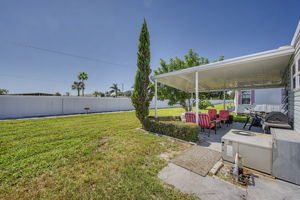 Backyard 3
