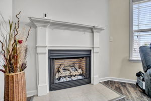 18 Dunsborough Dr Simpsonville SC - (36)