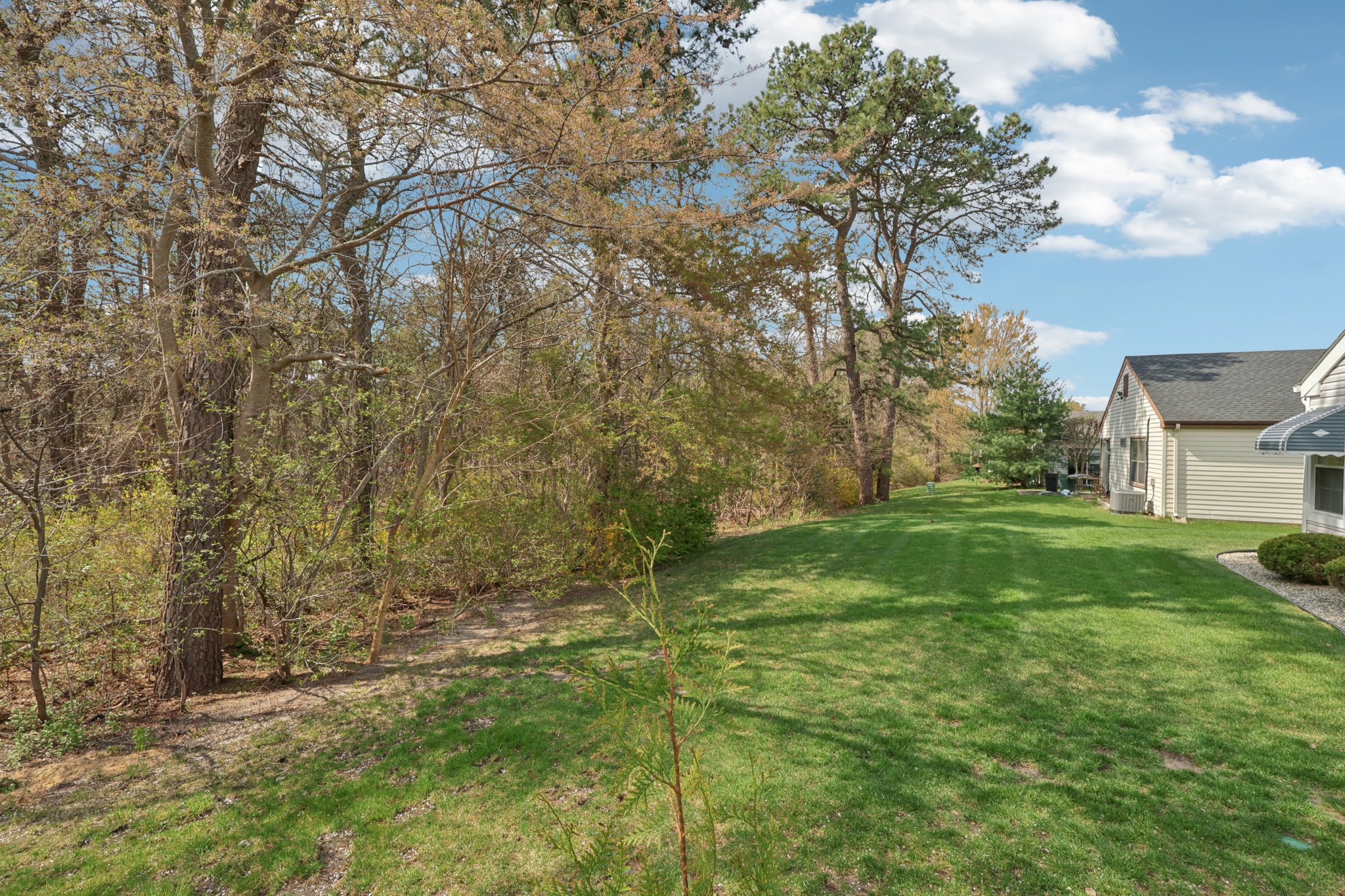 18 Flintshire Ter-S1404-059.jpg