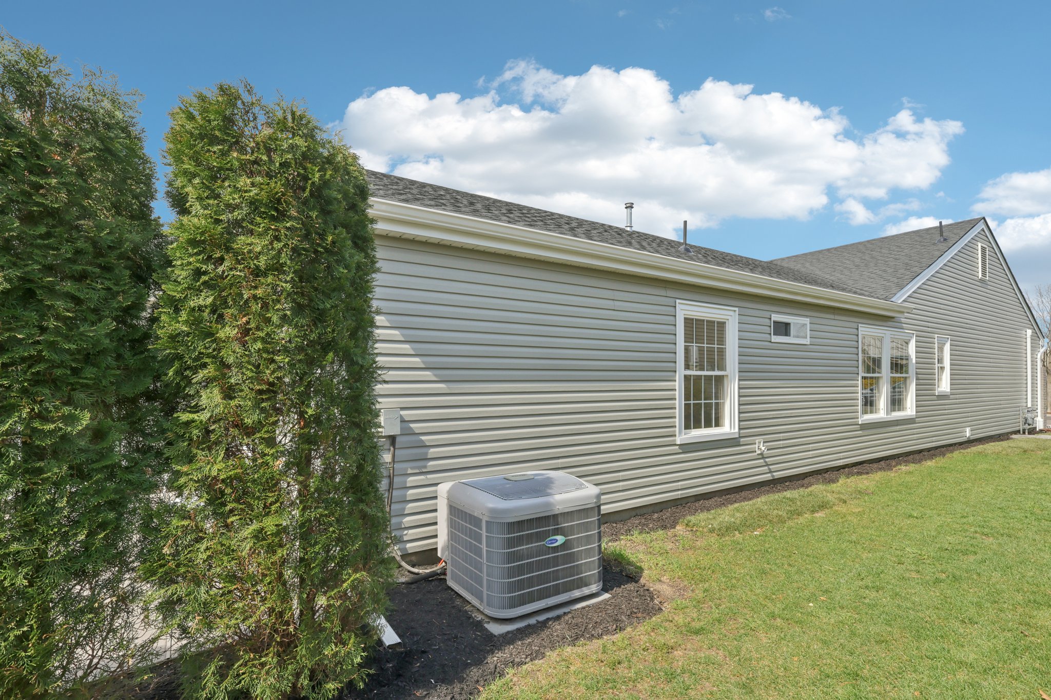 18 Flintshire Ter-S1404-065.jpg