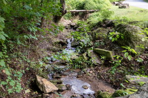  Photo 57