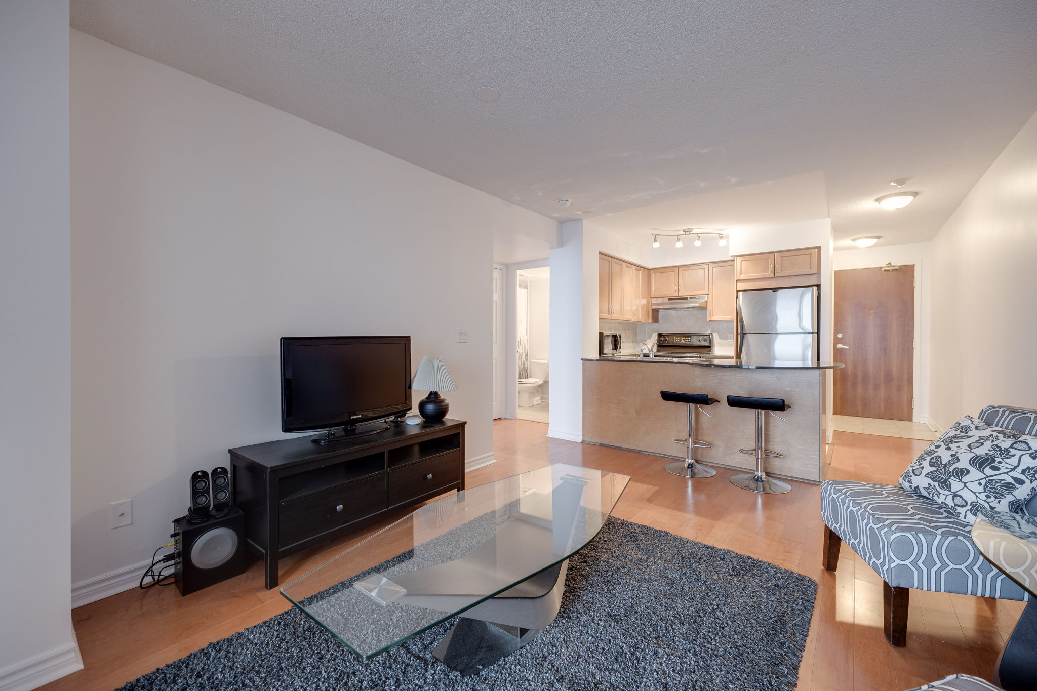Toronto property showcase — delivered property photograph 12