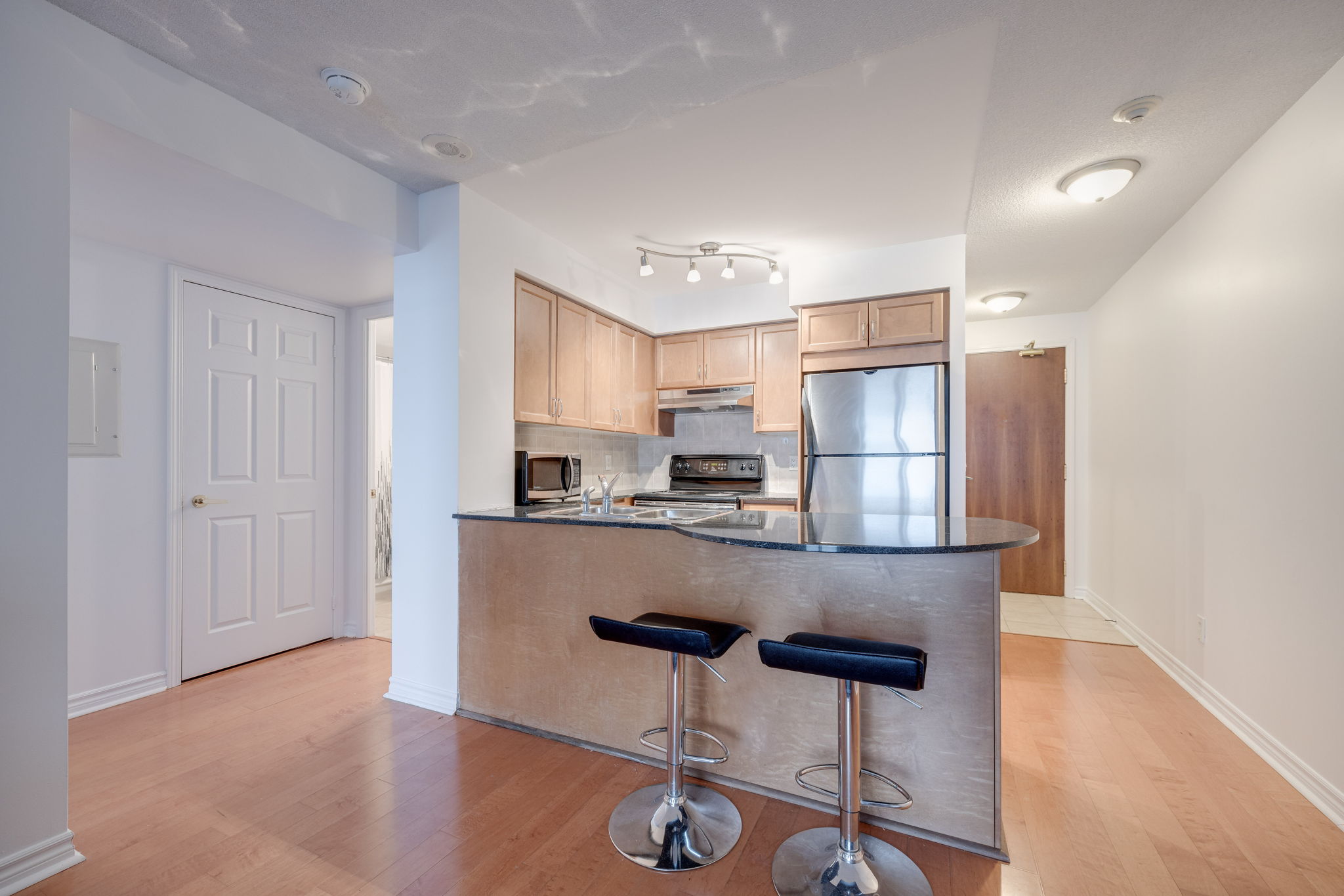 Toronto property showcase — delivered property photograph 9