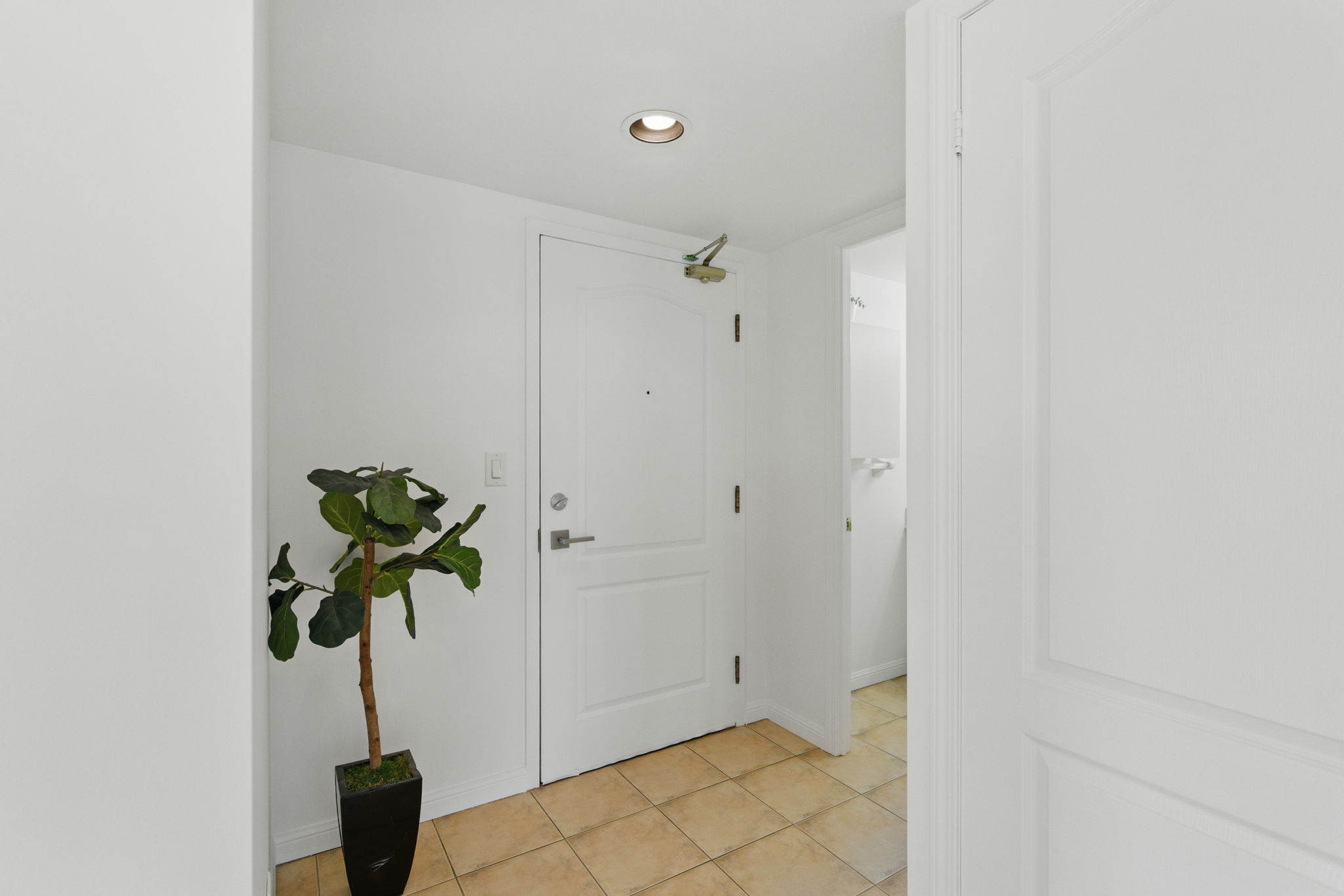 Toronto property showcase — delivered property photograph 4