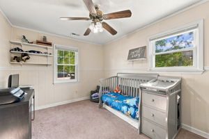  Photo 47