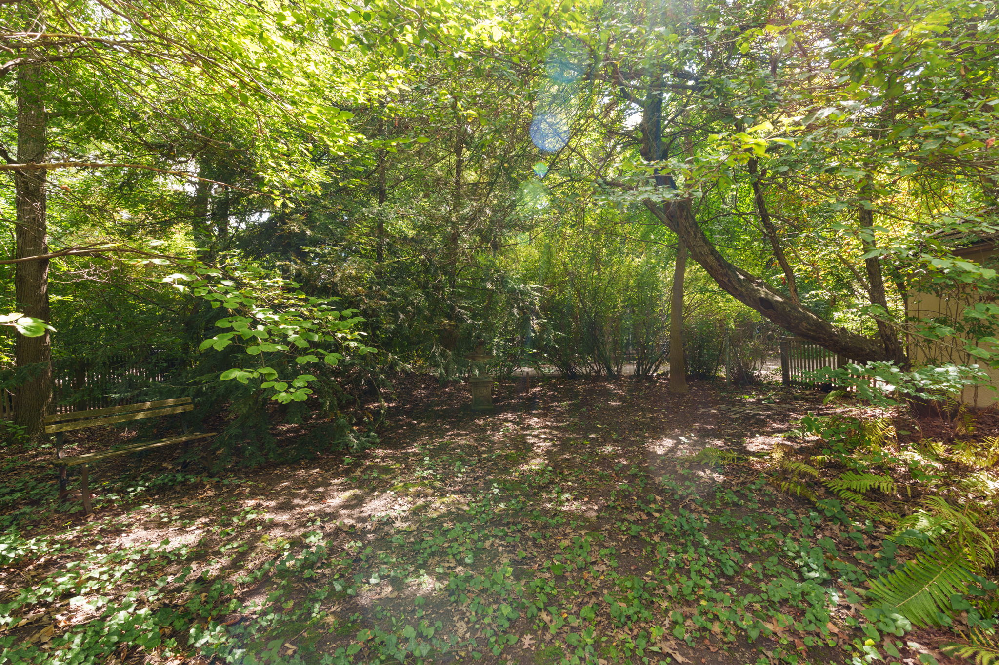  Photo 45