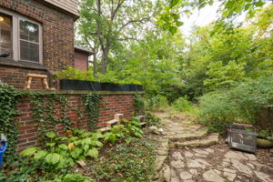  Photo 49