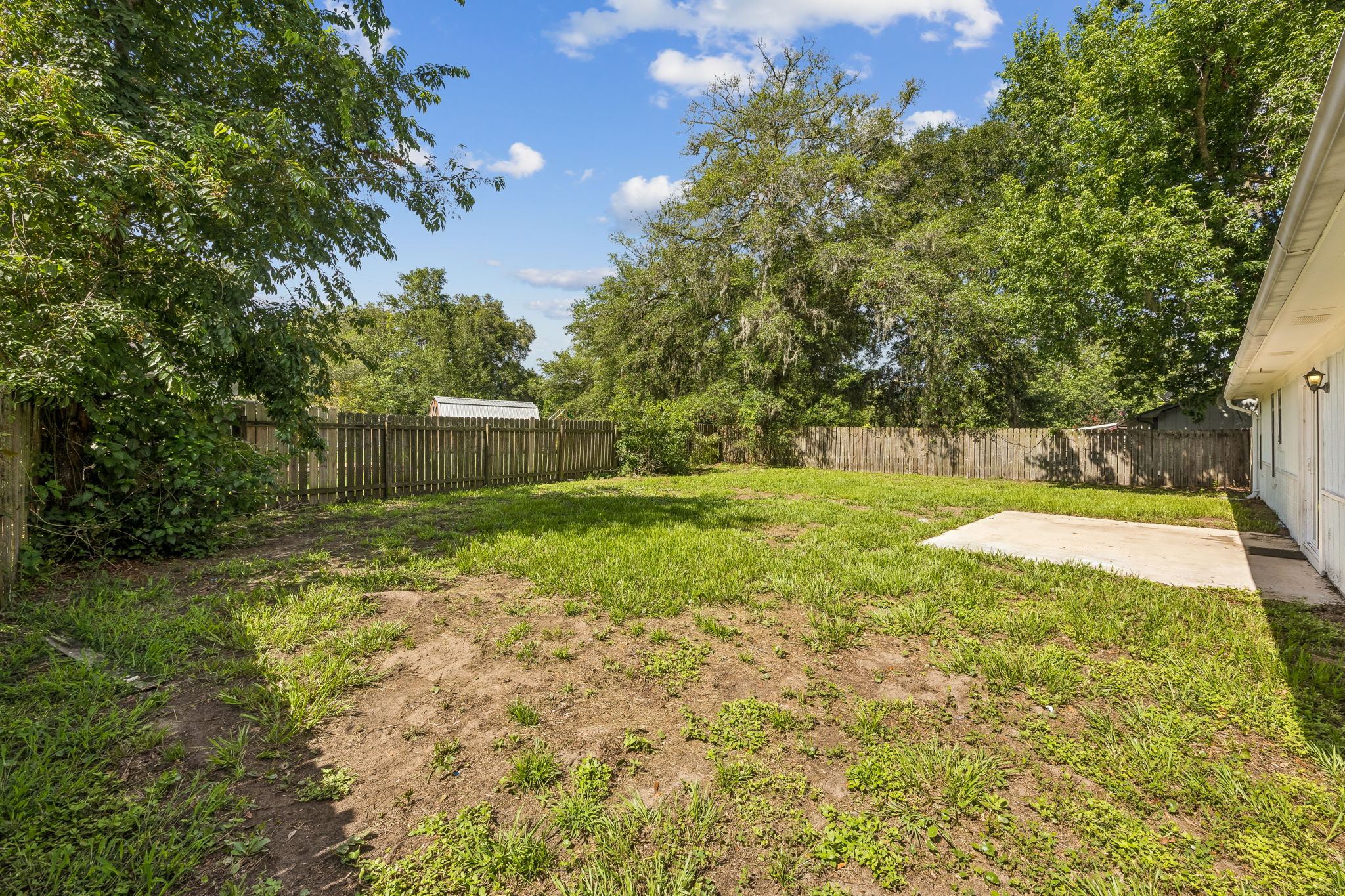Backyard