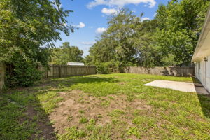 Backyard