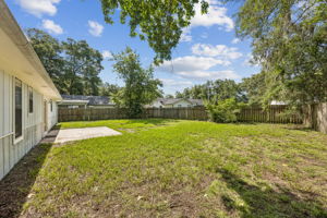 Backyard