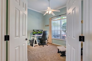 Bedroom/Office
