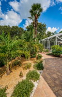 Side Patio and Walkway3