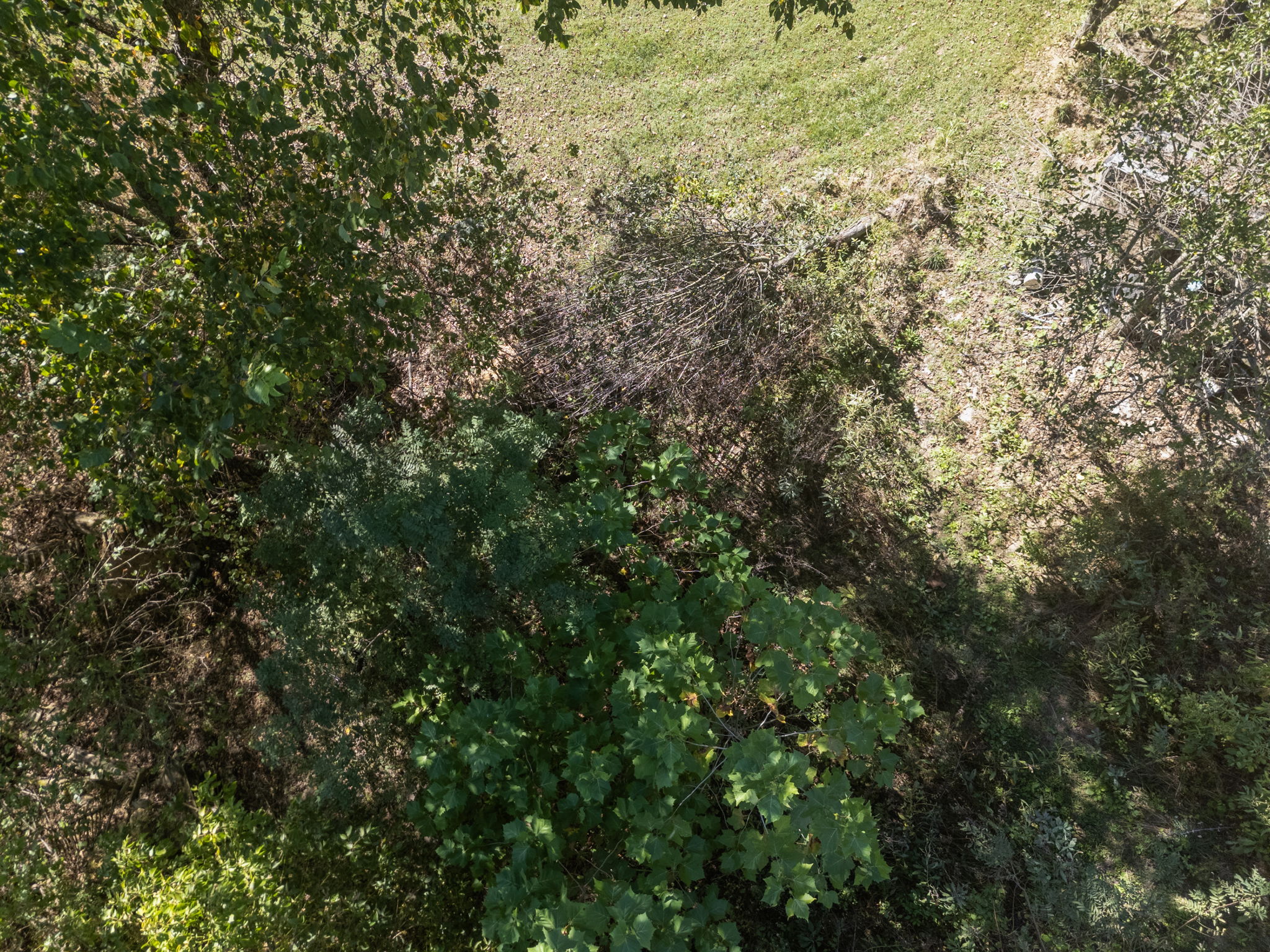LOT 2-E (wooded land only)