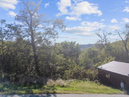 LOT 2-B (wooded land only)