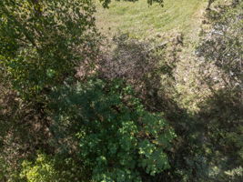 LOT 2-E (wooded land only)