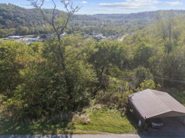 LOT 2-C (wooded land only)