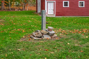  Photo 46