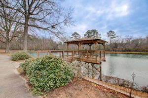 19 Ext Gazebo w Community Lake