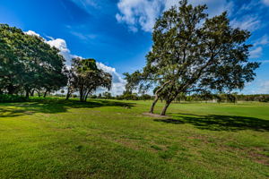Backyard and Golf Course View2