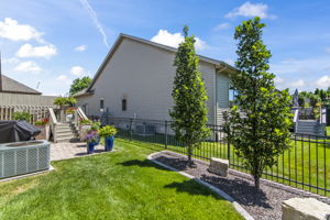 Back View